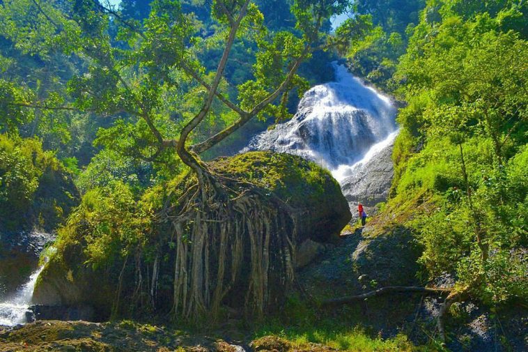 Ini dia Destinasi Wisata di Wonosobo, Negeri di Atas Awan
