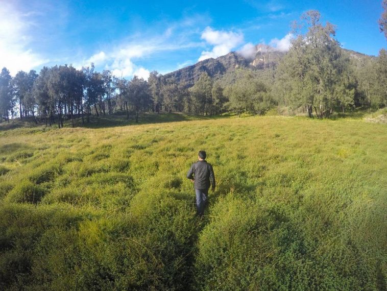 Penampakan Indah Berbagai Jalur Pendakian, Langsung Bikin Kangen Gunung