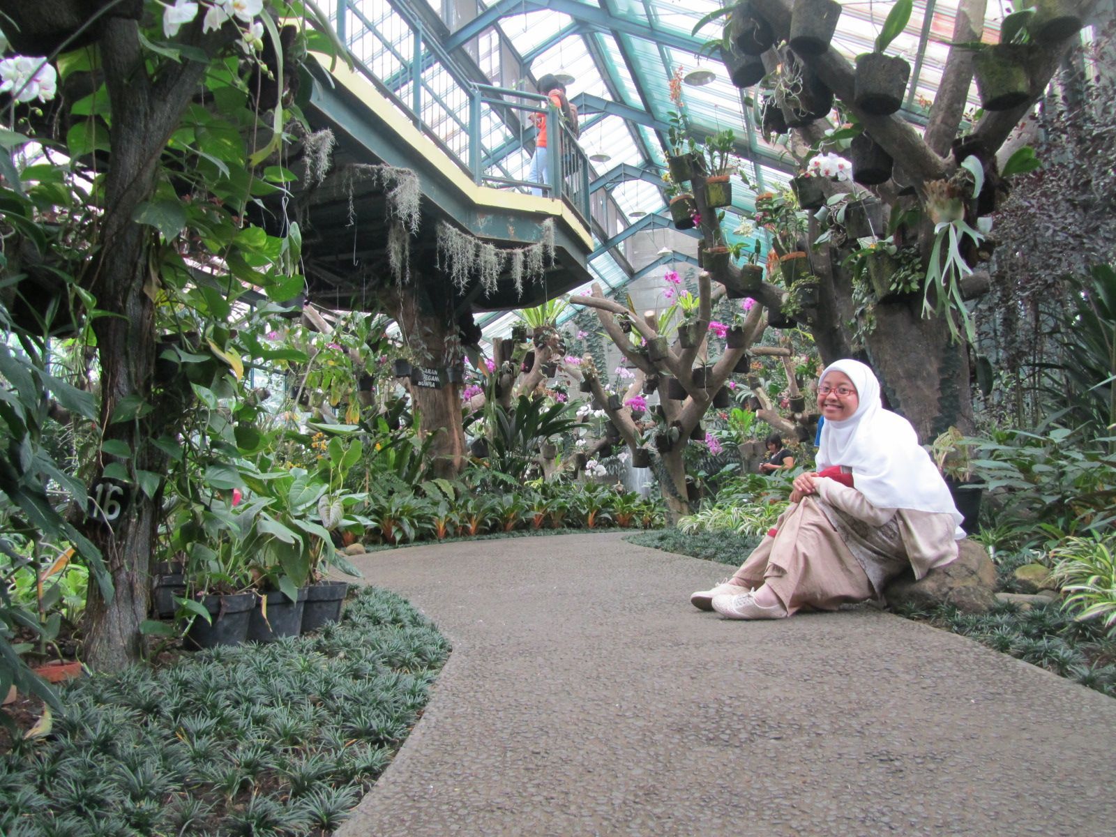 Agrowisata di Bogor, Atmosfer Perkebunan yang Sejuk dan Asri