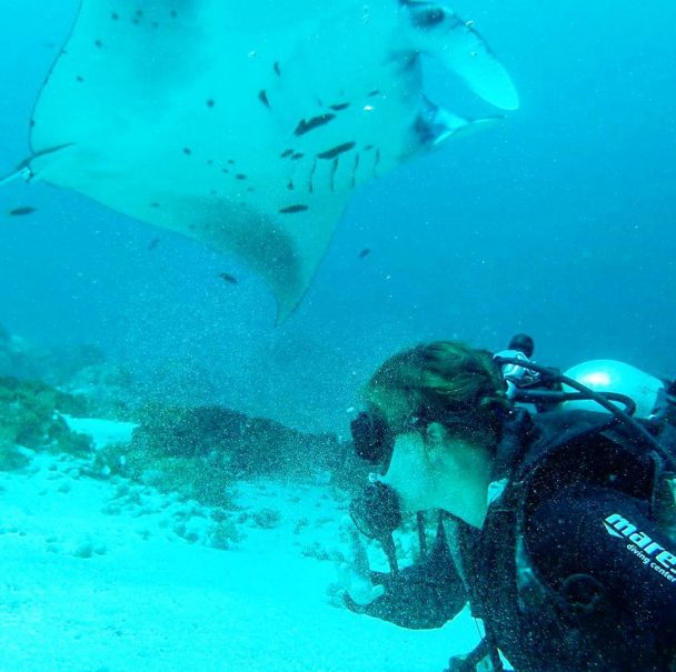 Diving Di Taman Nasional Komodo Selalu Perhatikan 4 Hal Ini
