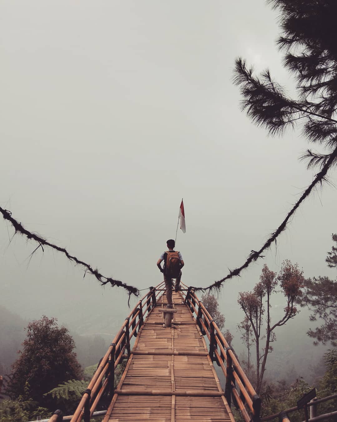 Delapan Destinasi Wisata Instagenic yang Menakjubkan di Batang