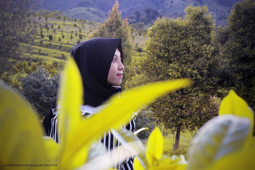 Perkebunan Teh Dayeuh Manggung, Saat Sejarah dan Spot