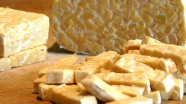 Tempe hasil fermentasi kedelai