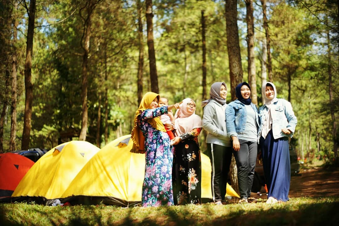Wisata Ke Hutan Pinus Malang, Sejuk dan Asri