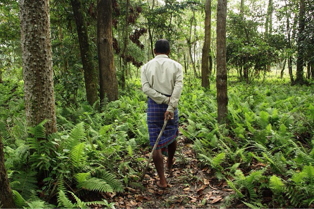Jadav Payeng, Pria yang Berhasil Sulap Pulau Tandus Menjadi Rumah ...