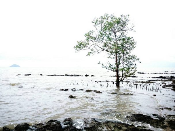 Pesona Wisata Kabupaten Sinjai, Ada yang Tak Kalah Cantik dengan Maladewa