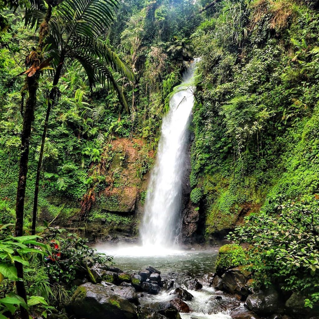 Wajib Kunjungi! Deretan Curug di Taman Nasional Gunung Gede Pangrango