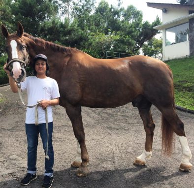 Wisata Tempat Berkuda di Jakarta dan Sekitarnya, Liburan Sembari Olahraga