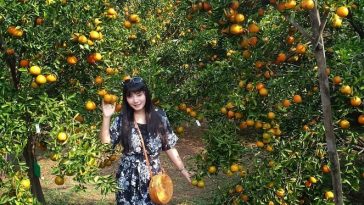 Via Instagram/indogreatsp