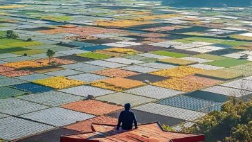 Selong Hill. via Instagram/