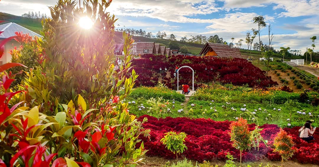 Wisata Edukasi dengan Tema Kebun yang Instagenic, Terhibur Sekaligus Pintar