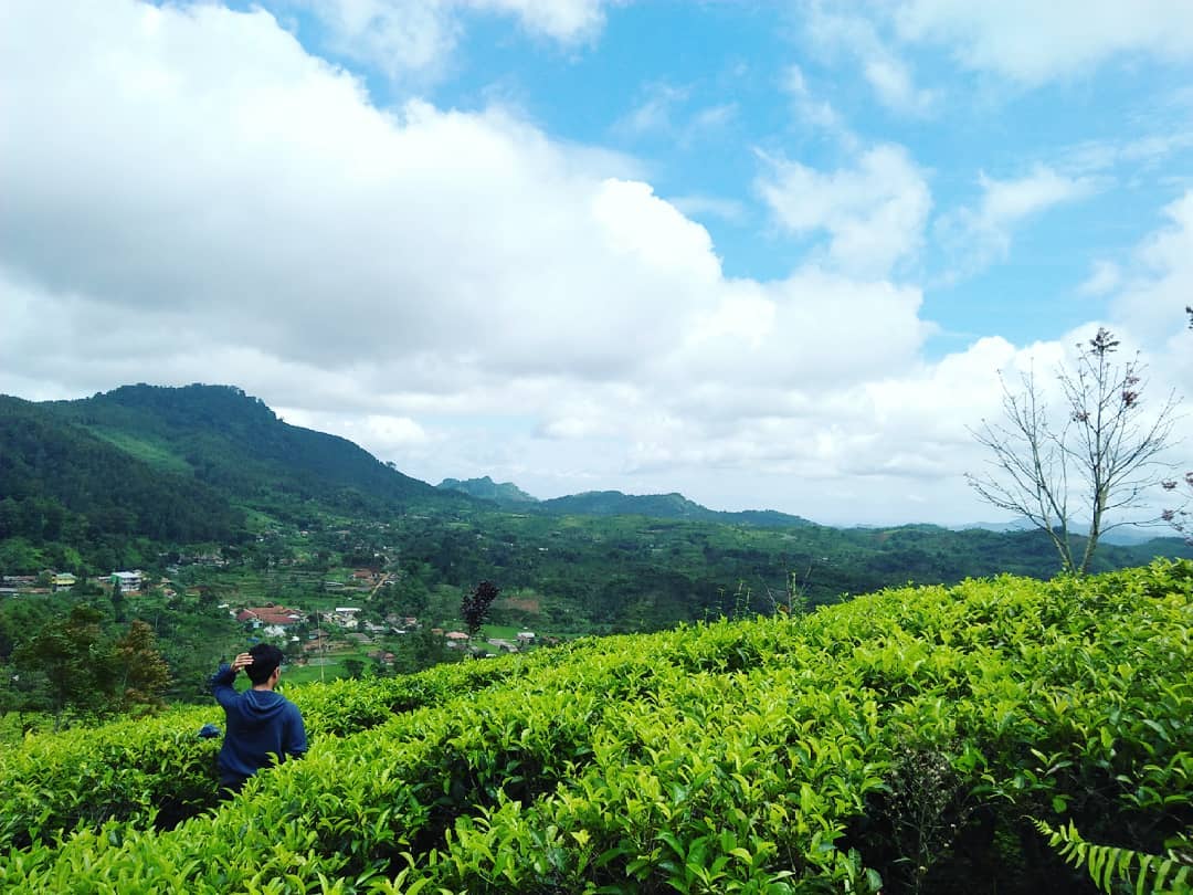Pendakian Gunung di Jawa Ditutup? Destinasi Ini Bisa Jadi Alternatif