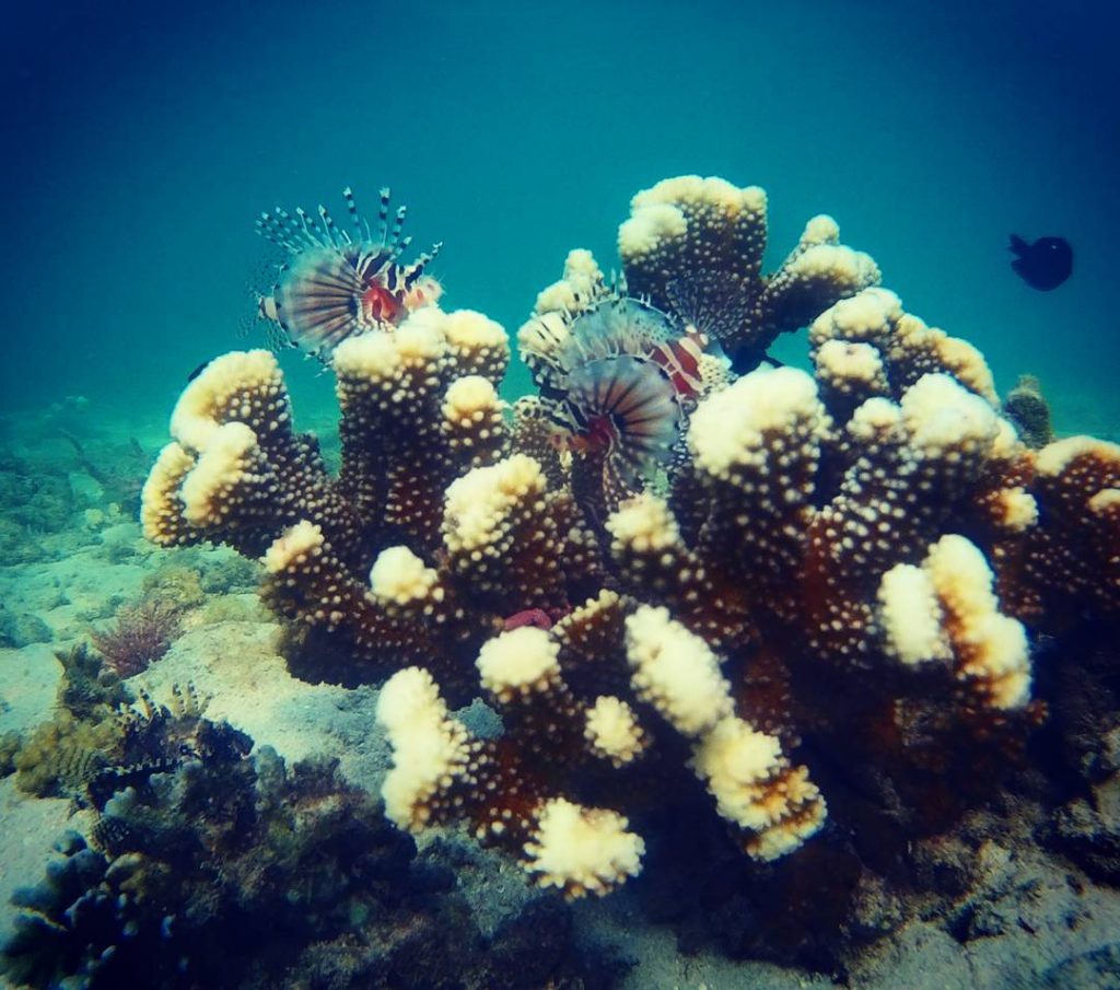Gili Sunut, a Small Island with a Vanishing Bridge