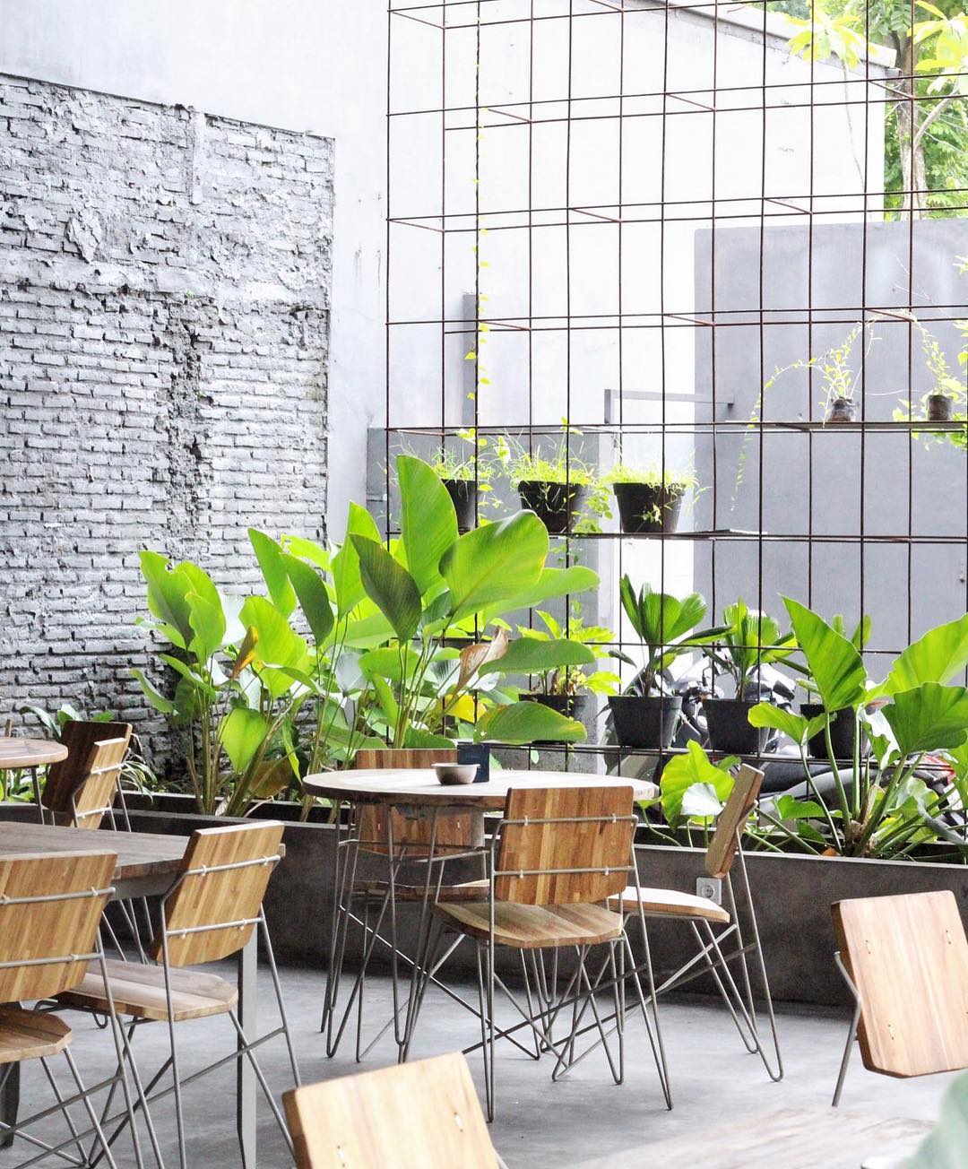 Kafe Habitat di Jogja, Spot Nongkrong Baru yang Tawarkan Kopi Selama 24 Jam