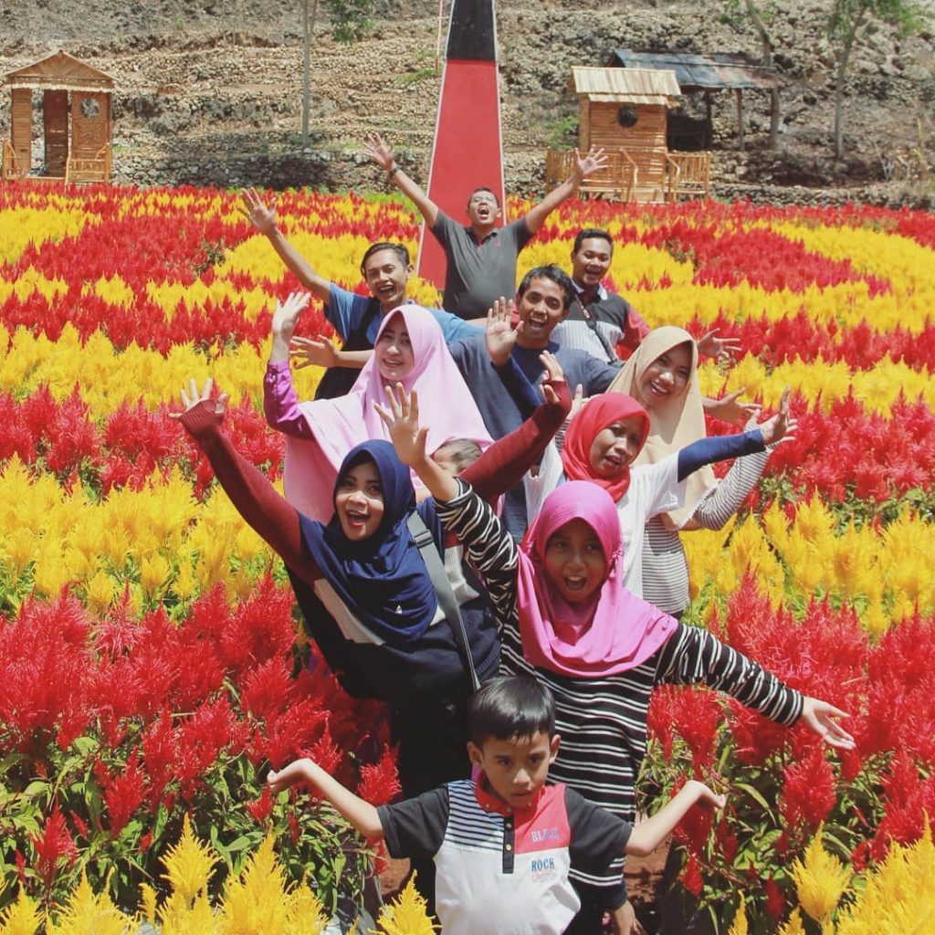 10 Most Beautiful Flower Gardens of Jogja