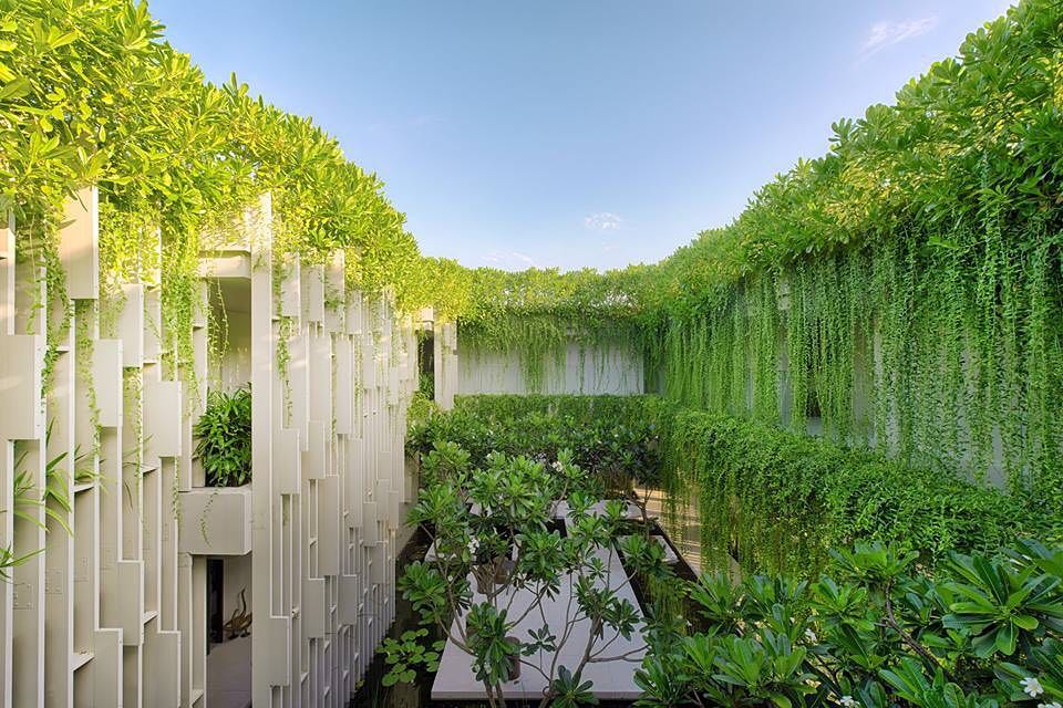 Hotel di Asia dengan Taman Gantung Instagenic, Indonesia Punya Nggak Ya?