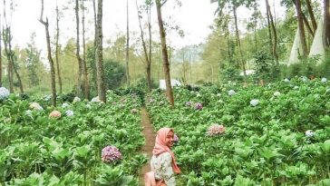 wisata hijau di Jawa Timur