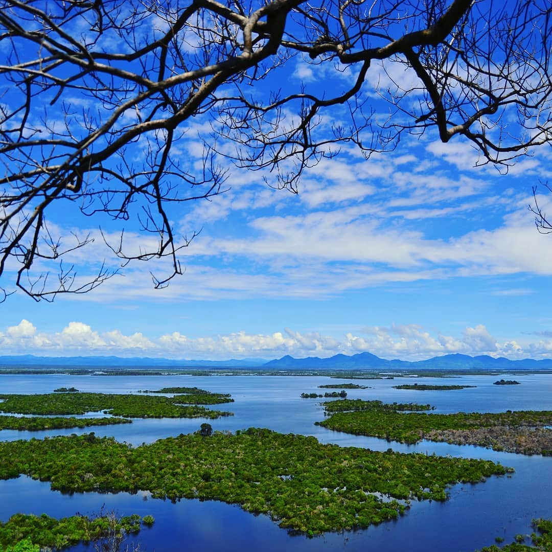 Sentarum Lake, a Seasonal Wonder in West Kalimantan