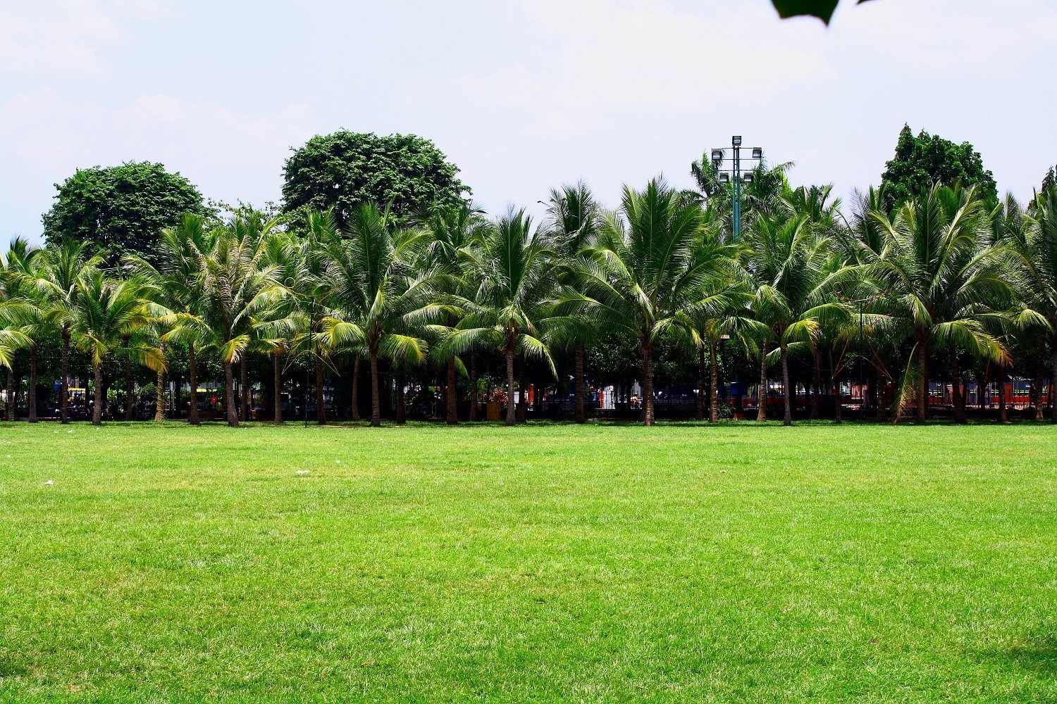 Jagung Bakar Rasa Suka-Suka di Alun-Alun Kota Jember