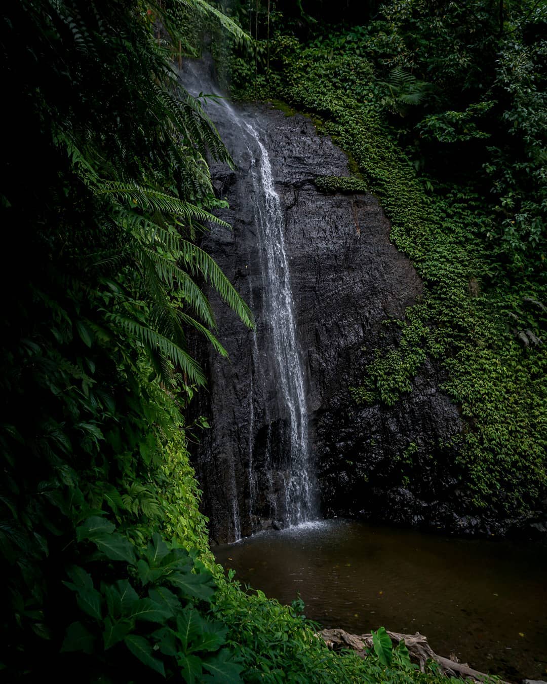 4 Lokasi Air Terjun di Desa Somosari Jepara