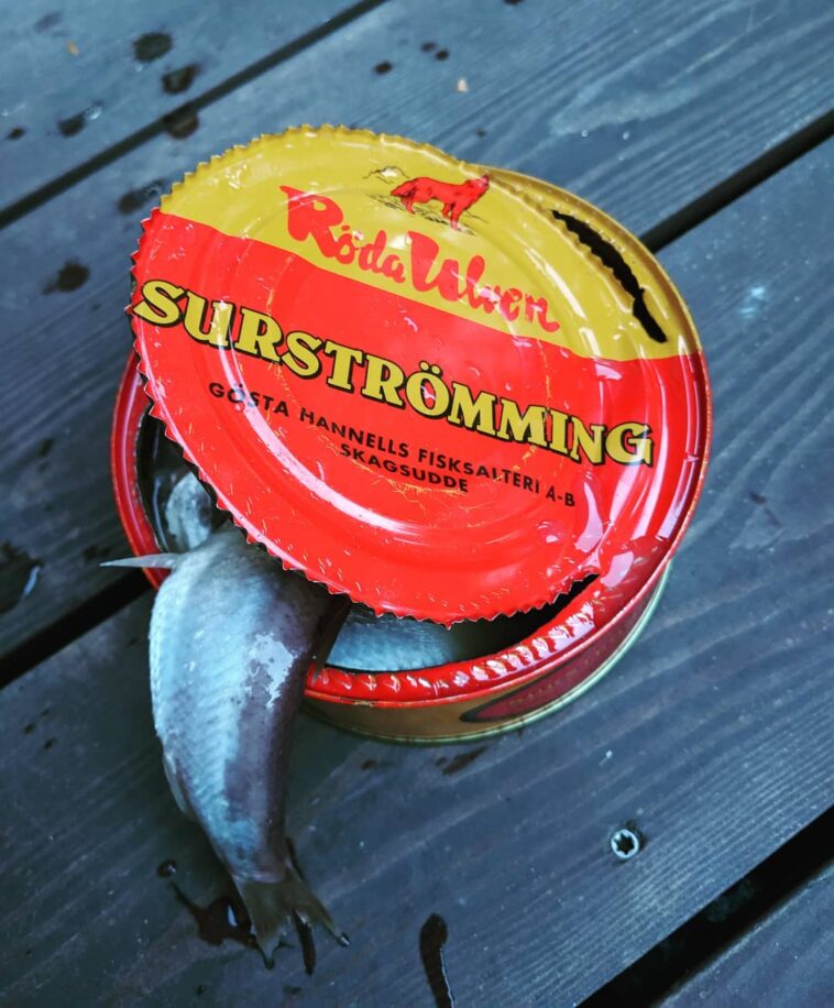 Surstromming, Makanan Khas Swedia, Ikan Fermentasi yang Berbau Busuk