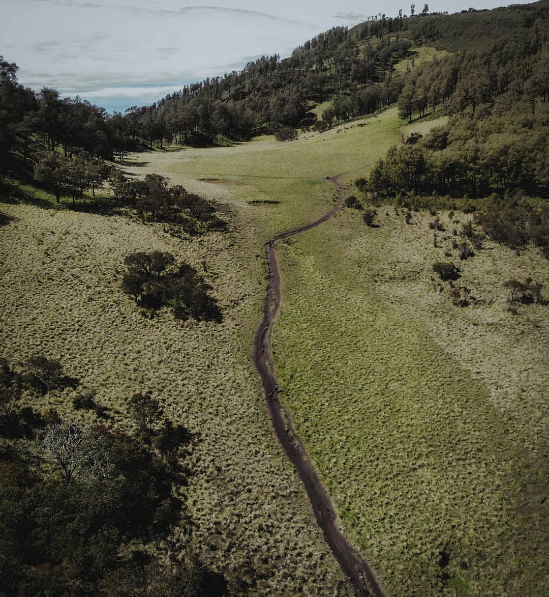 Menikmati Indahnya Padang Savana Gunung Lawu Via Cetho