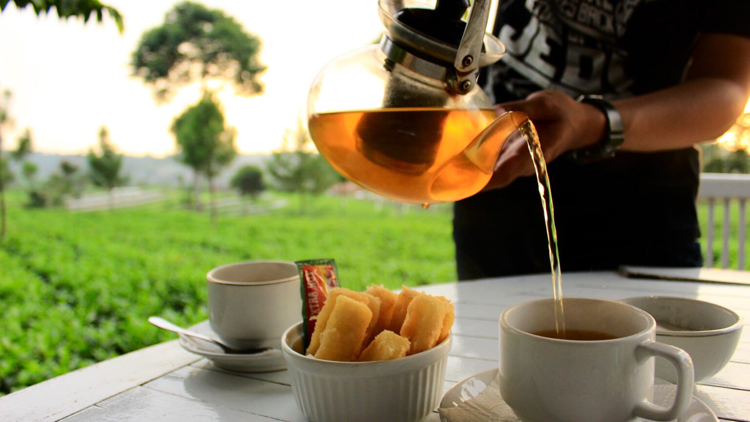 Menu Makanan Lezat di Ndoro Donker dengan Sajian Kebun Teh