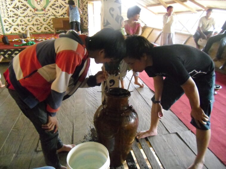 Baram Tuak, Minuman Khas Suku Dayak Kalimantan yang Menyegarkan